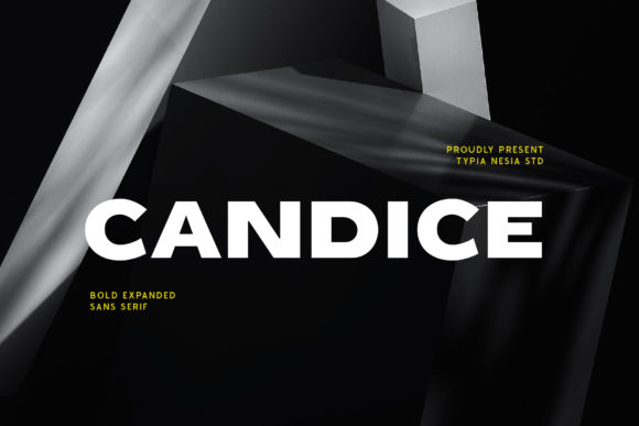 Candice Font: Bold Branding for Modern Businesses